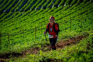 BIB: 9340
                            <button type="button" onclick="openModal(19161149)" class="btn btn-primary btn-sm float-right btn-popup" data-toggle="modal" data-target=".modal-high-quality">
                        <i class="fas fa-shopping-cart"></i> Add to Cart
                    </button>
                                            <button type="button" onclick="isThisMe(19161149, true)" class="btn btn-success btn-sm float-right btn-popup btn-isme hidden" data-toggle="tooltip" data-placement="bottom" title="นี่คือรูปของคุณใช่ไหม คลิกที่นี่เพื่อเอาเข้าอัลบั้ม">
                        <i class="fas fa-plus"></i> Add to album
                    </button>
                    <button type="button" onclick="isThisMe(19161149, false)" class="btn btn-warning btn-sm float-right btn-popup btn-isnotme hidden">
                        <i class="fas fa-ban"></i> Remove from album
                    </button>